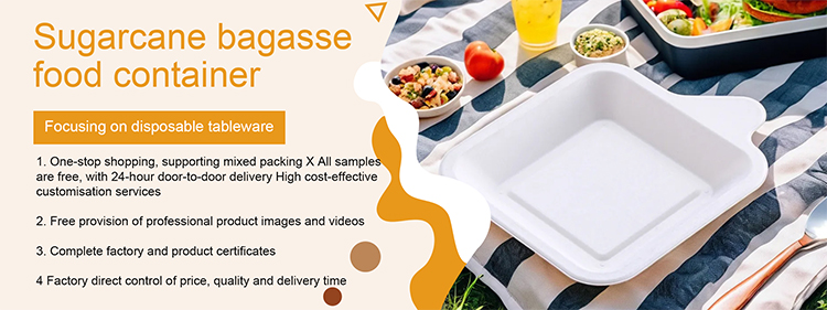 Product Presentation Banner