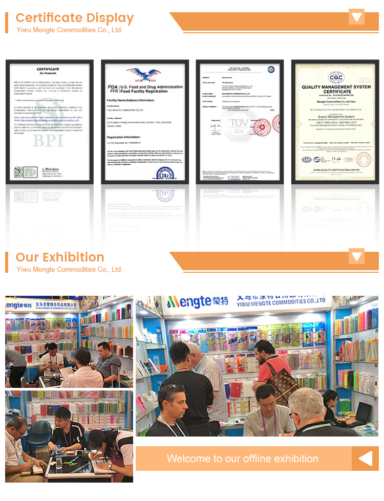 Additional Presentation 1