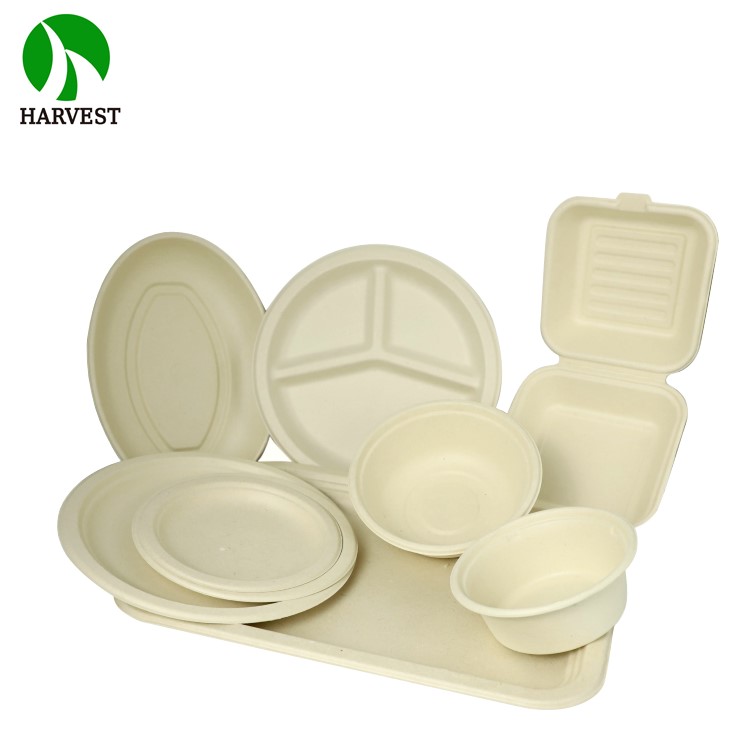 Eco Friendly Food Packaging Square Bagasse Takeaway Food Containers Sustainable Biodegradable Plates
