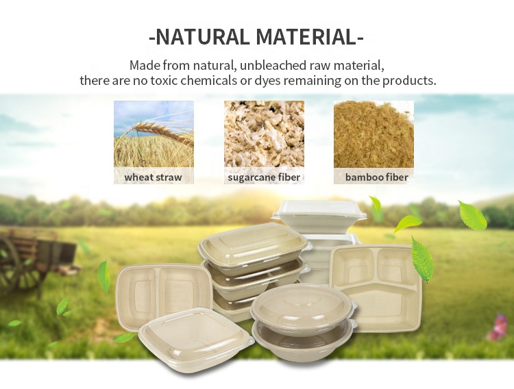 Plant-Based Gluten Free Square 24 oz Disposable Single Use Take Away Eco-Friendly Pulp Biodegradable Compostable Salad Bowl
