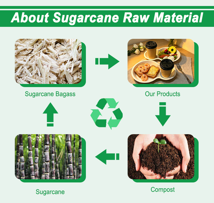 Heavy-Duty Compostable 2 Compartments Food Coffee Drink Tray Bagasse Cup Holder Tray Sugarcane Brunch Tray with Cup Holder
