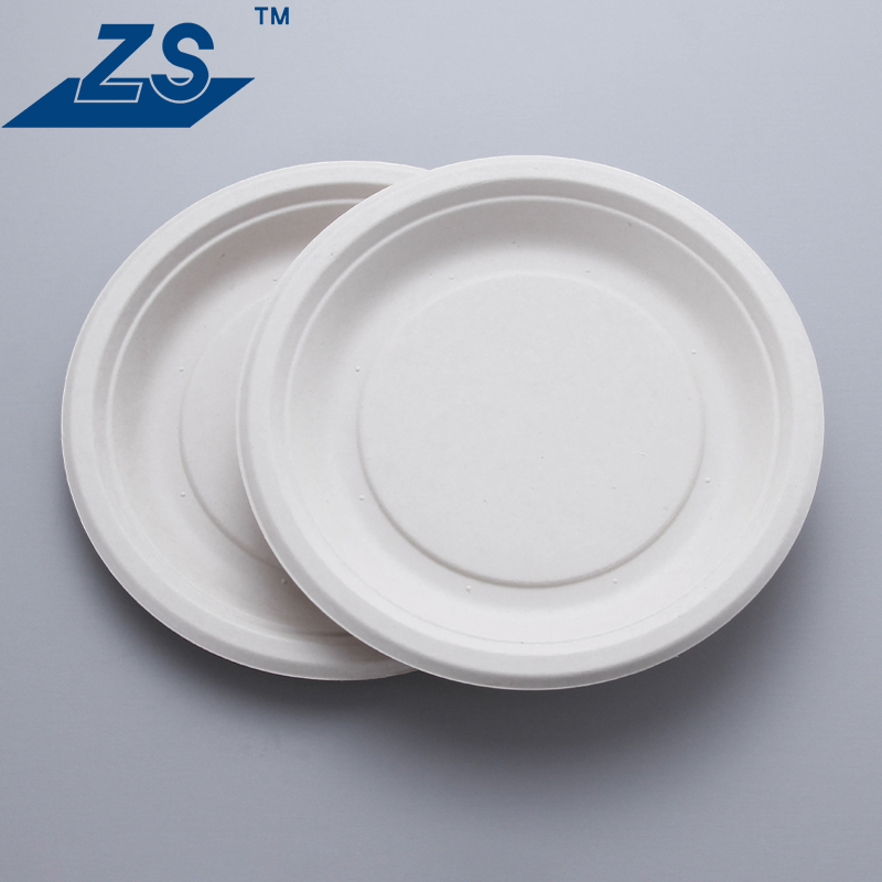Eco-Friendly 9 Inch Disposable Plate Bagasse Food Round Plate Takeaway Biodegradable Sugarcane Plate