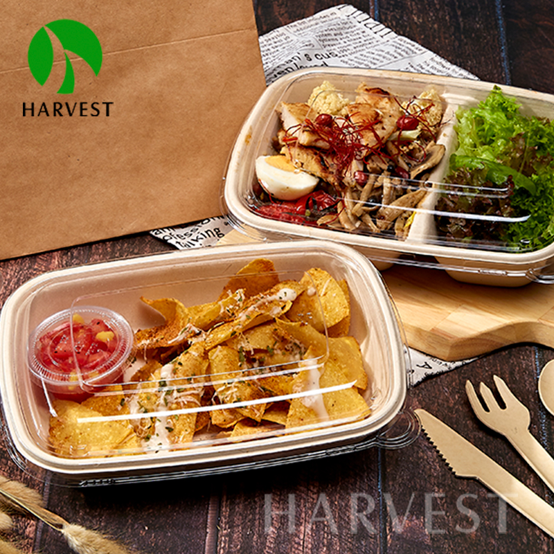 Biodegradable Disposable Food Packaging No Added Pfas Container Bagasse Sugarcane Food Container with No Added PFAS