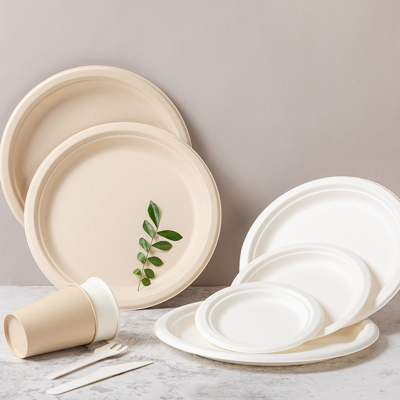 9 Inch White Plate Restaurant Plates Sugarcane Flat Bagasse Disposable Kraft Food Plate