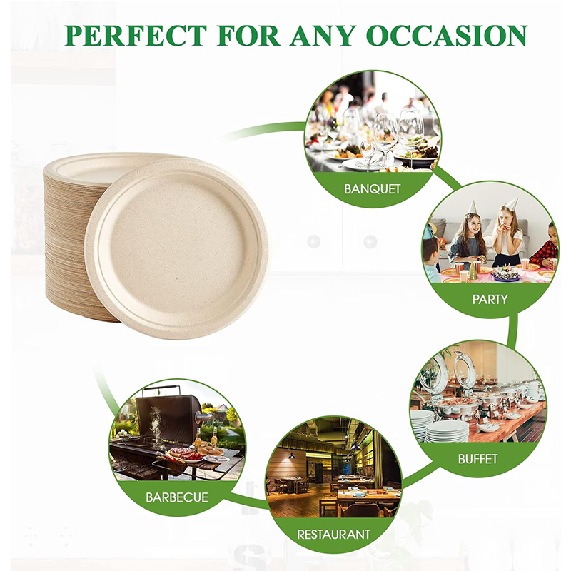 Bagasse Natural Biodegradable Eco-Friendly Sugarcane Paper Plates 9 Inch 100% Compostable Heavy-Duty Disposable Paper Plates