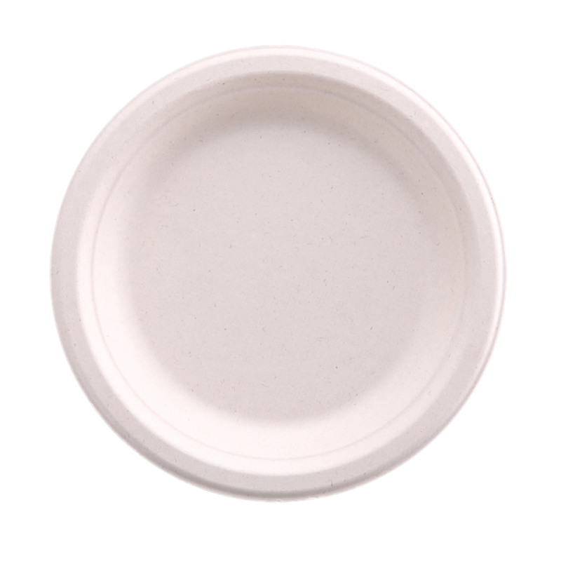 Bagasse Plate Showcase 2