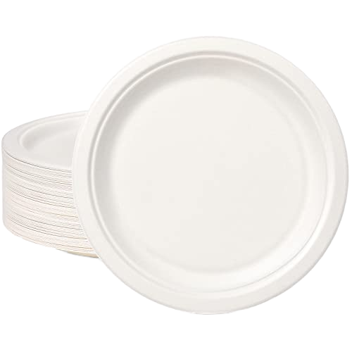 Free Sample 9 Inch Eco-Friendly Sugarcane Bagasse Biodegradable Disposable Waterproof Microwave Safe LFGB Certified Contemporary