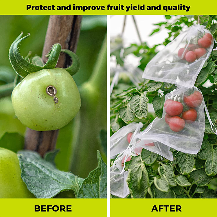 White Vineyard Grape mango Tomato apple Peach Anti Insect Net Mesh Fruit protection Bags,fruit Net Bag