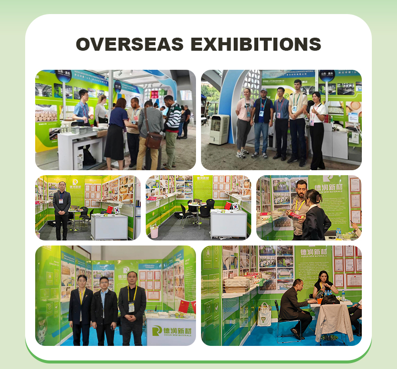 Exhibition