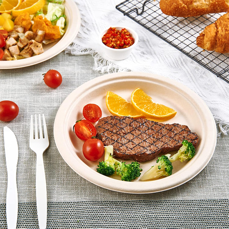 Bagasse Natural Biodegradable Eco-Friendly Sugarcane Paper Plates 9 Inch 100% Compostable Heavy-Duty Disposable Paper Plates