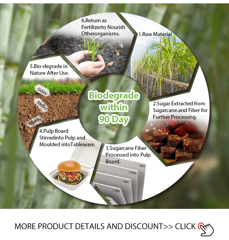 Product Size Specifications