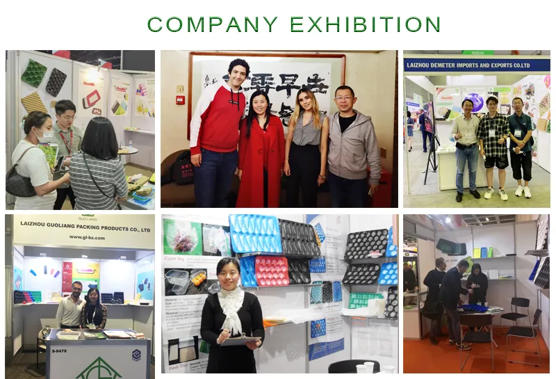 Global Trade Shows and Packing Exhibitions