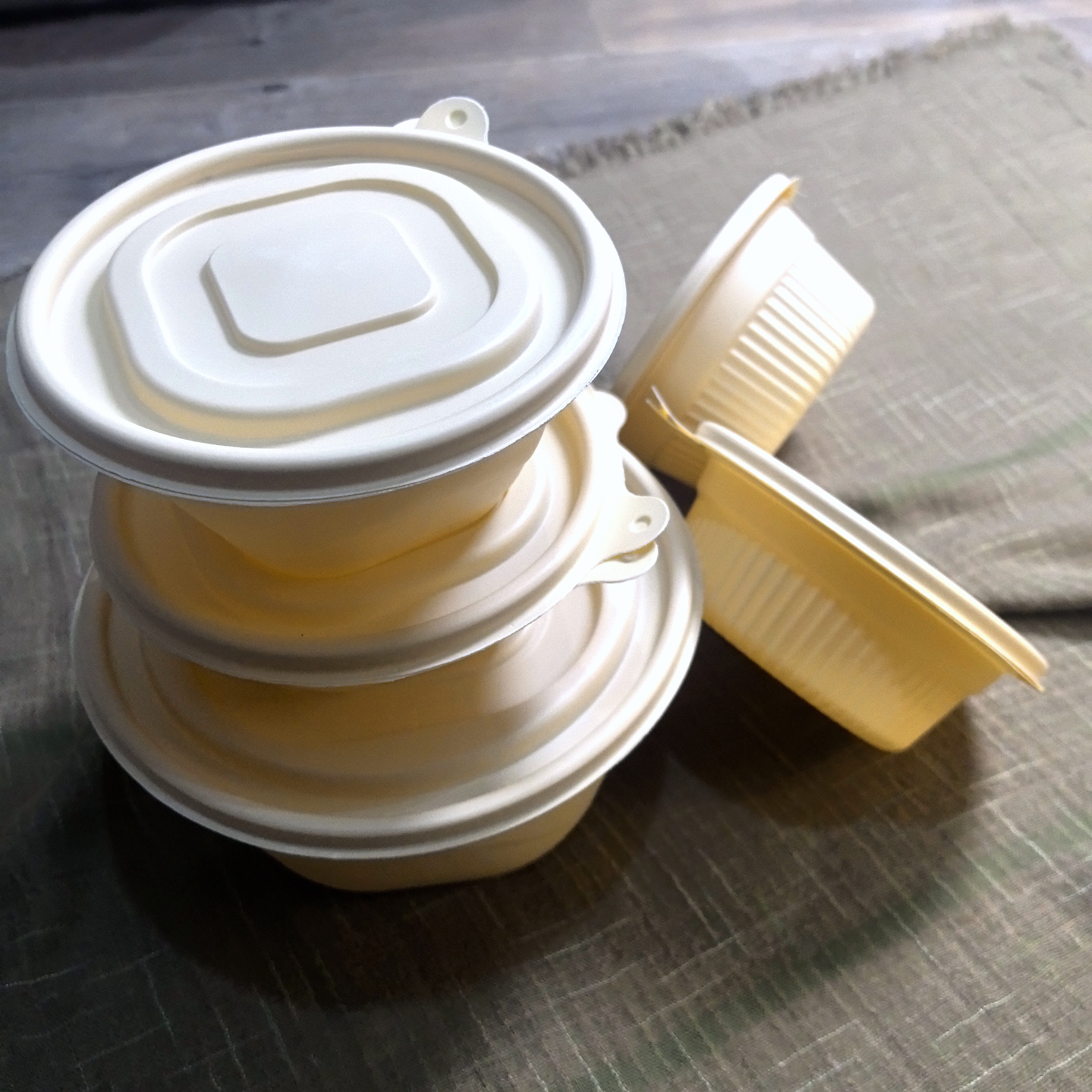 Disposable Food Container Detail 7