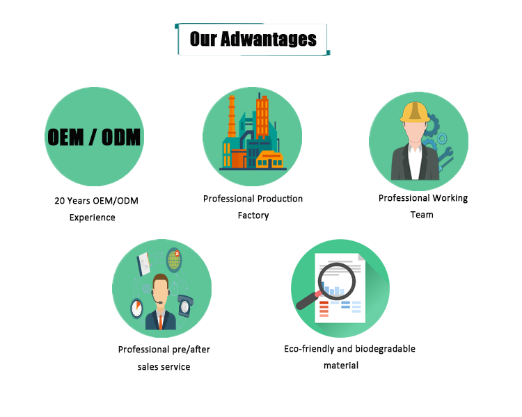 Company Profile 2