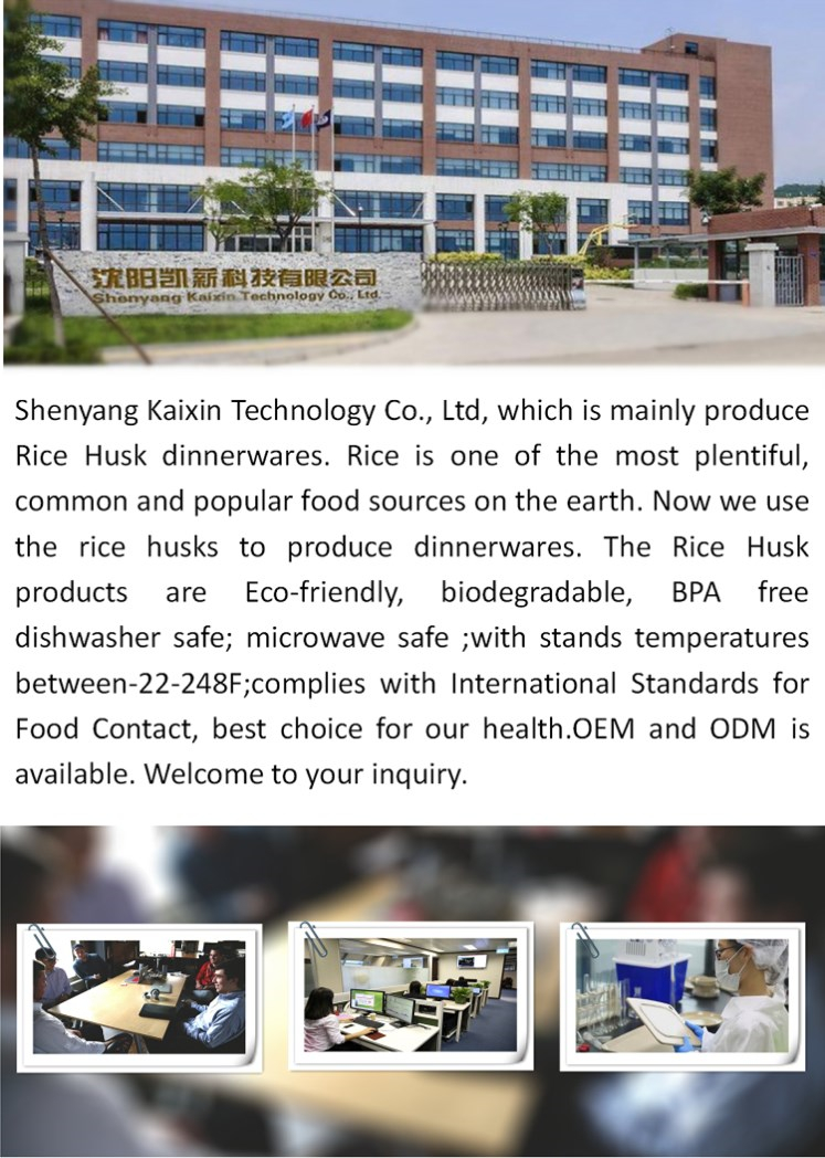 Company Profile 1
