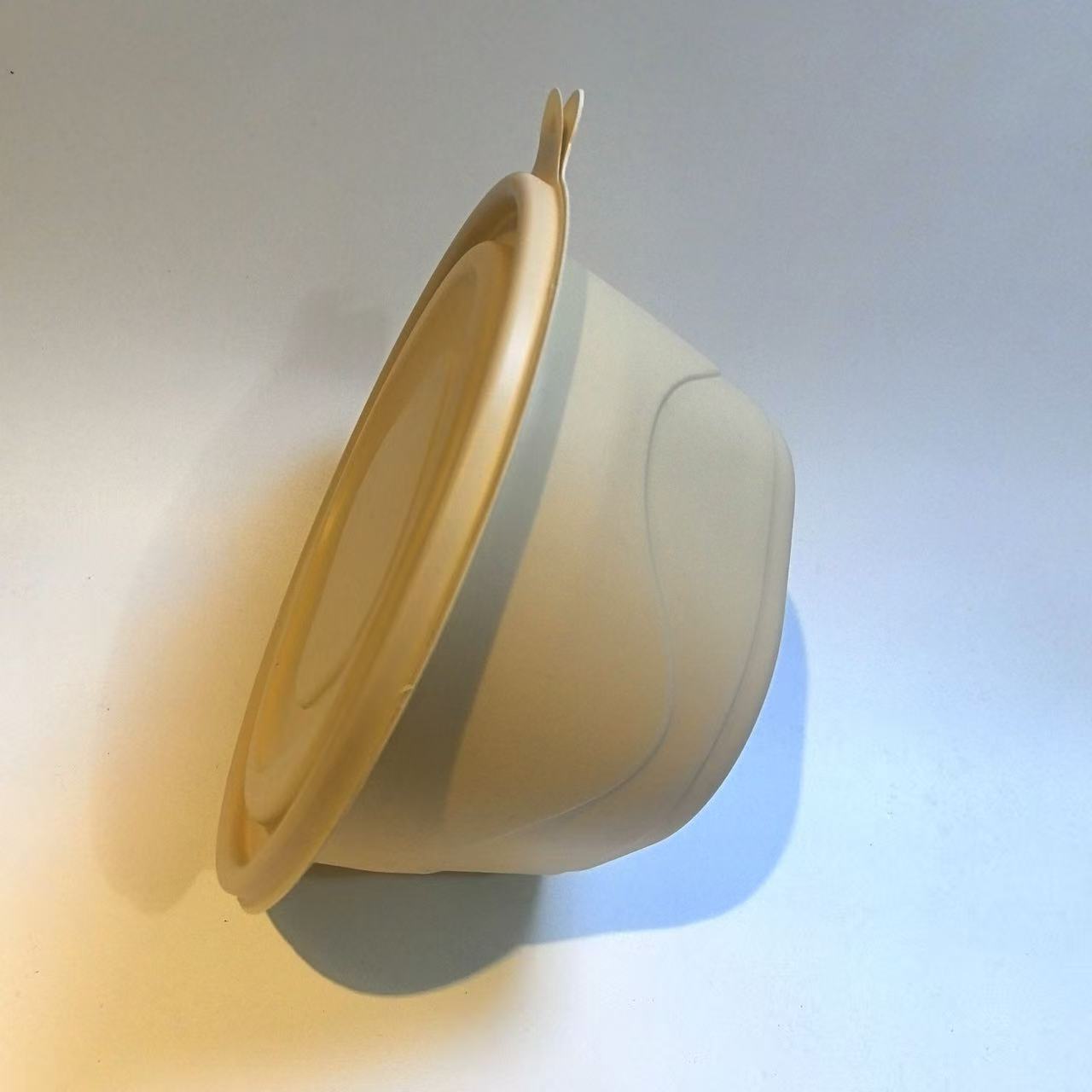 Disposable Food Container Detail 6