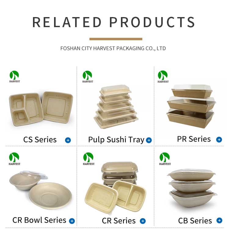 Related Product Catalog 1