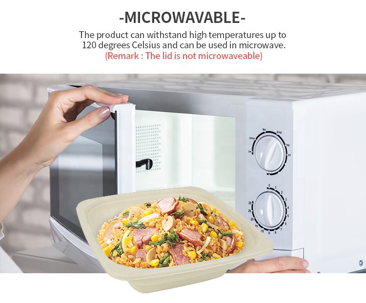 Plant-Based Gluten Free Square 24 oz Disposable Single Use Take Away Eco-Friendly Pulp Biodegradable Compostable Salad Bowl