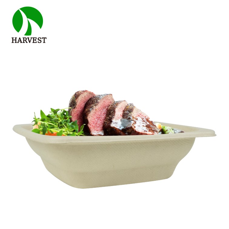 Plant-Based Gluten Free Square 24 oz Disposable Single Use Take Away Eco-Friendly Pulp Biodegradable Compostable Salad Bowl