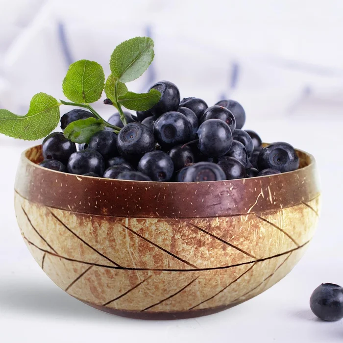 Sustainable Kitchenware Coconut Bowl