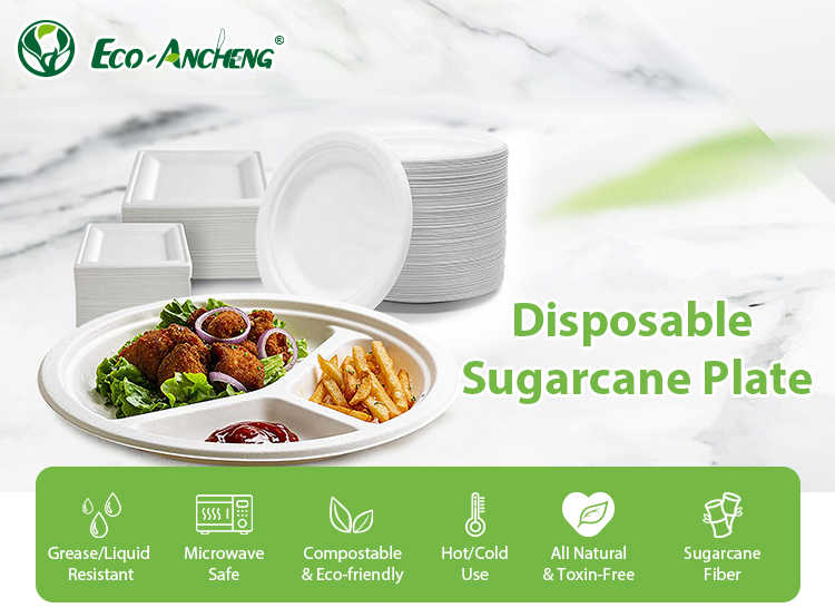 Sugarcane Plate Showcase