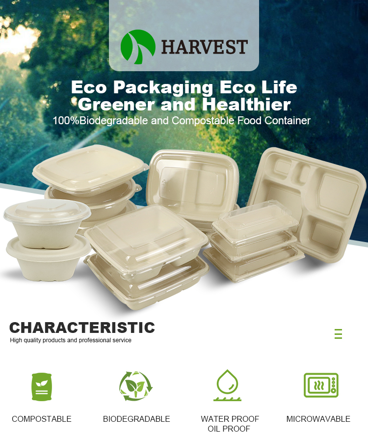 Plant-Based Gluten Free Square 24 oz Disposable Single Use Take Away Eco-Friendly Pulp Biodegradable Compostable Salad Bowl