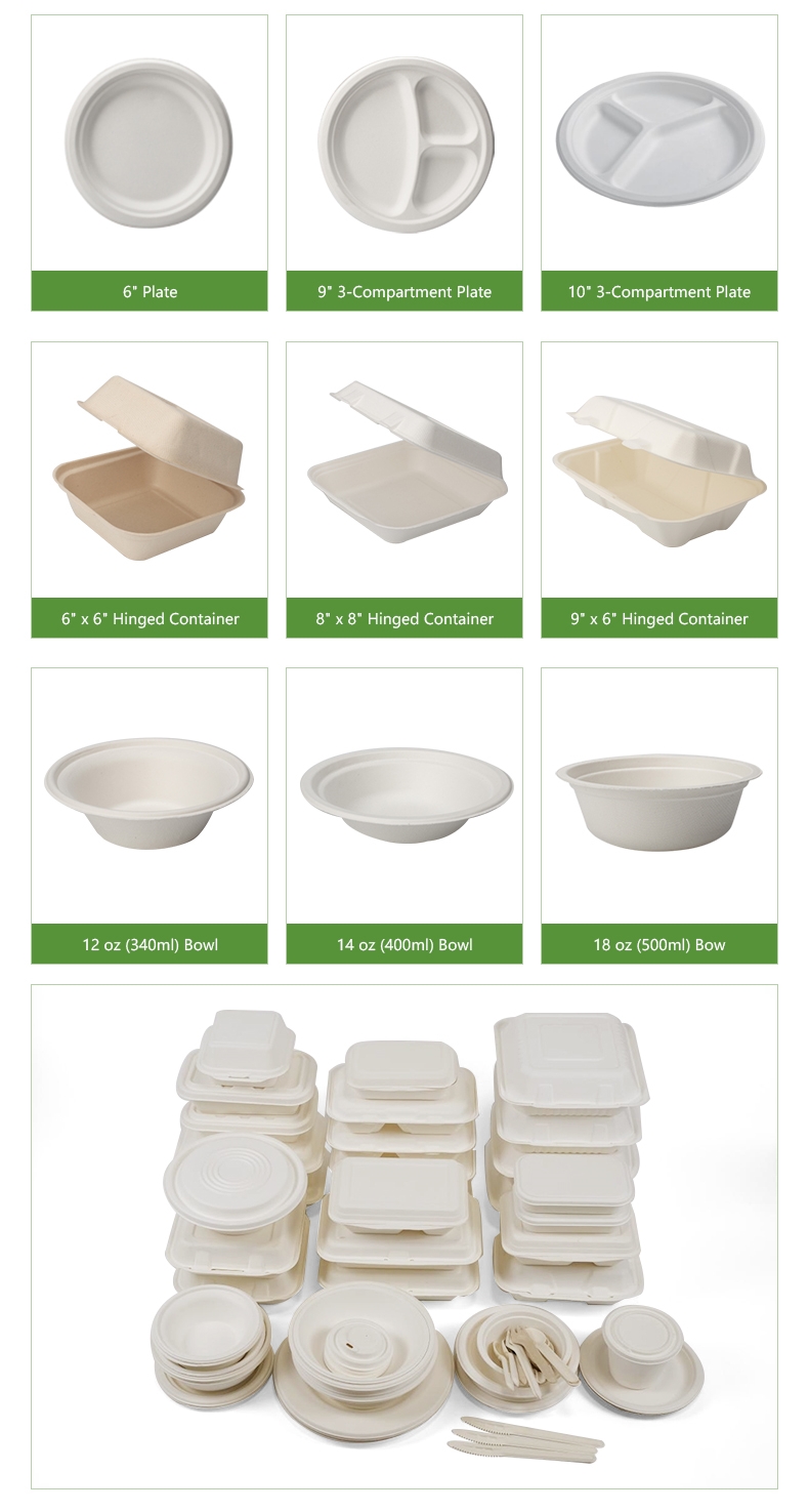 Bagasse Clamshell Showcase