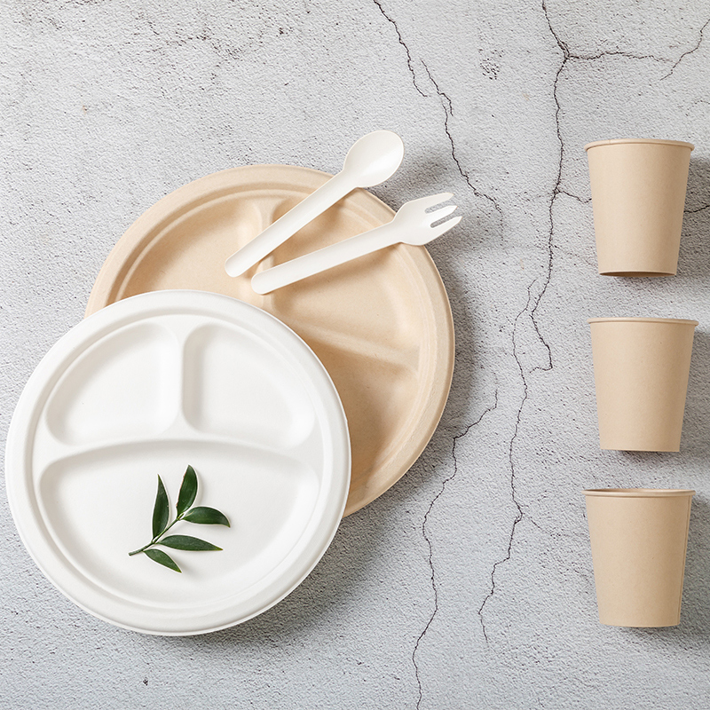 9 Inch White Plate Restaurant Plates Sugarcane Flat Bagasse Disposable Kraft Food Plate