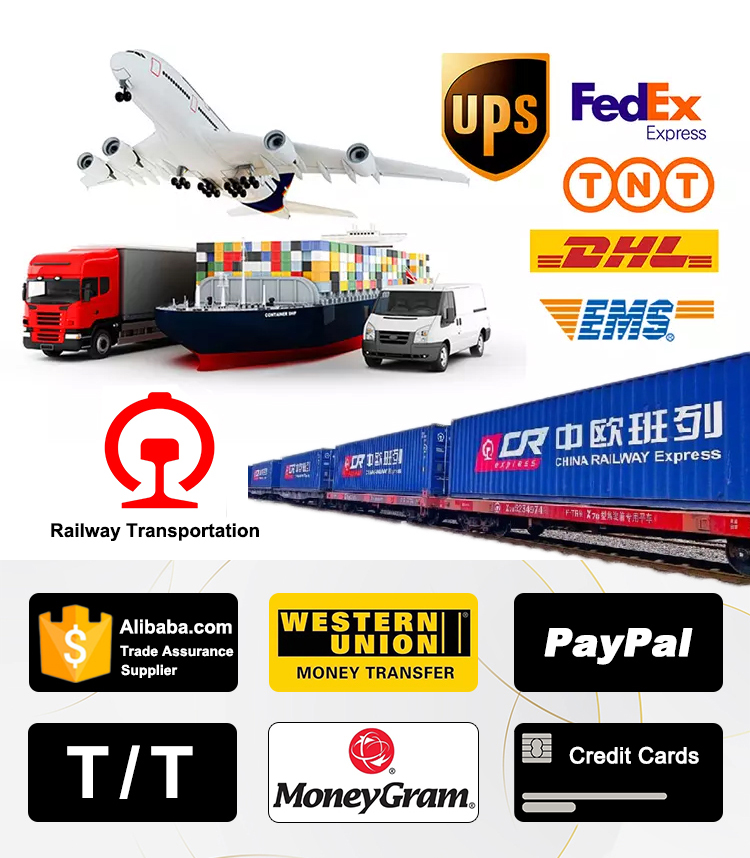 Shipment and Payment details