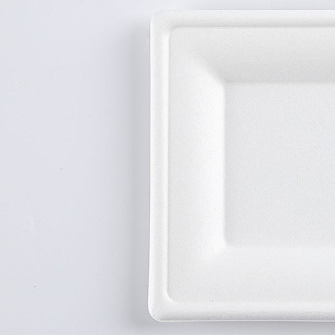 8 Inch Square Natural Sugarcane Bagasse Plates Compostable Disposable Bagasse Paper Plates Heavy Duty Eco Friendly Dinner Plates
