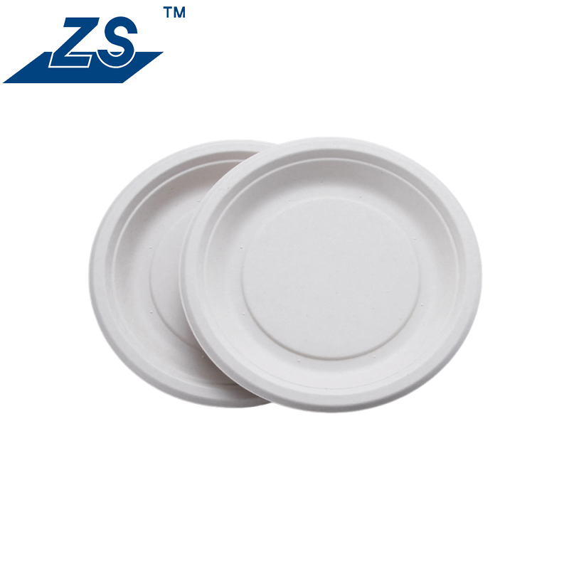 Bagasse Plate Detail View 4