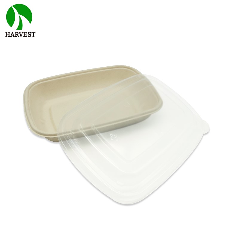 Rectangular 700 Ml Biodegradable Bagasse Sugarcane Food Box With Pp Lid