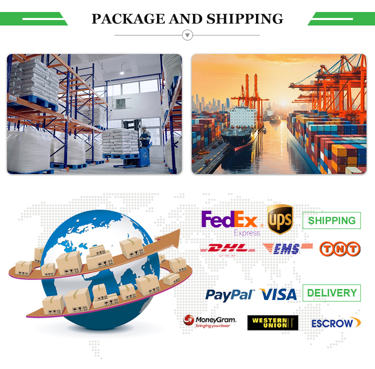Company Operation Overview