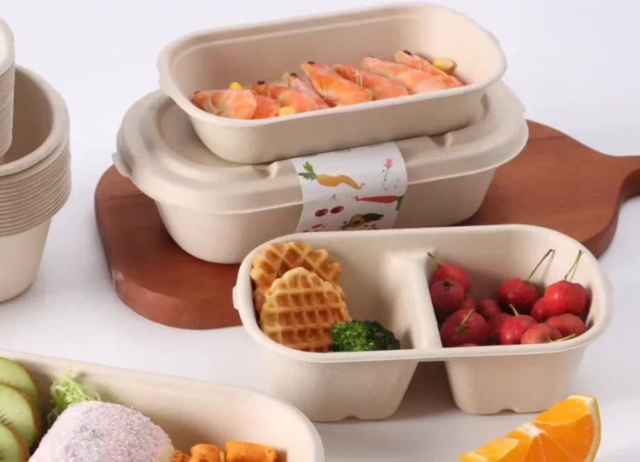 Sugarcane fiber meal container design 4