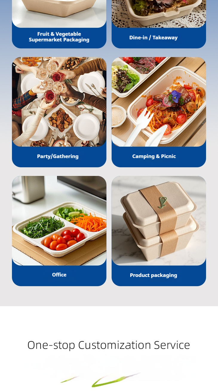 Biodegradable meal box 6