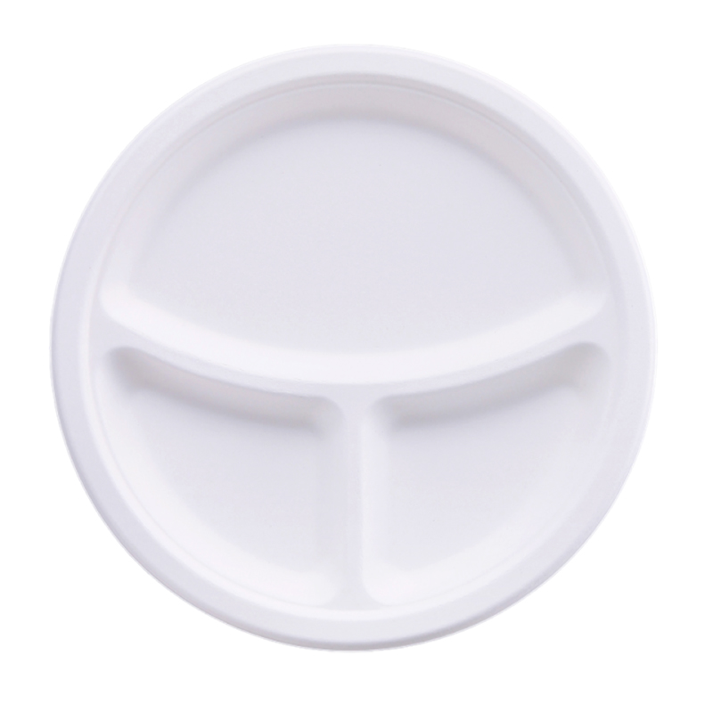 Bagasse Plate Showcase 4