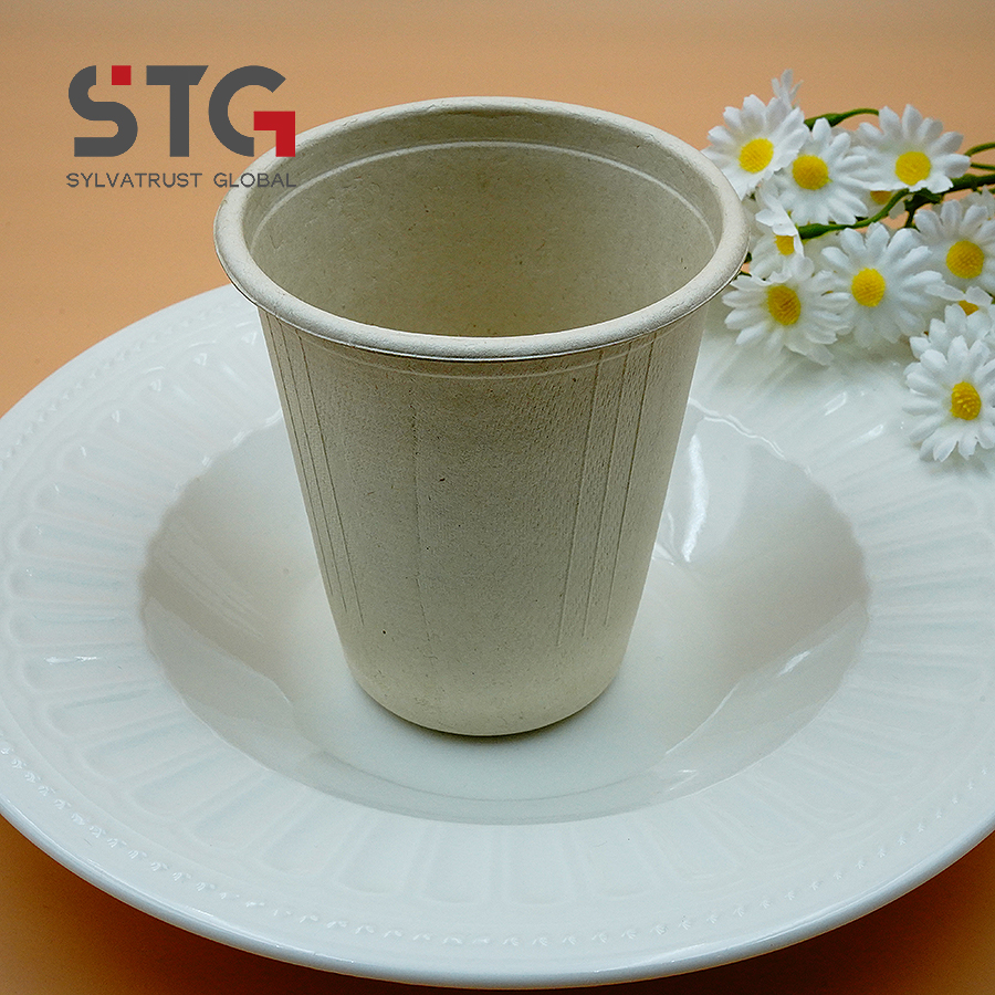 12oz in Stock Compostable Bagasse Cup Eco Friendly Disposable Pulp Cup for Catering Company Outdoor Party