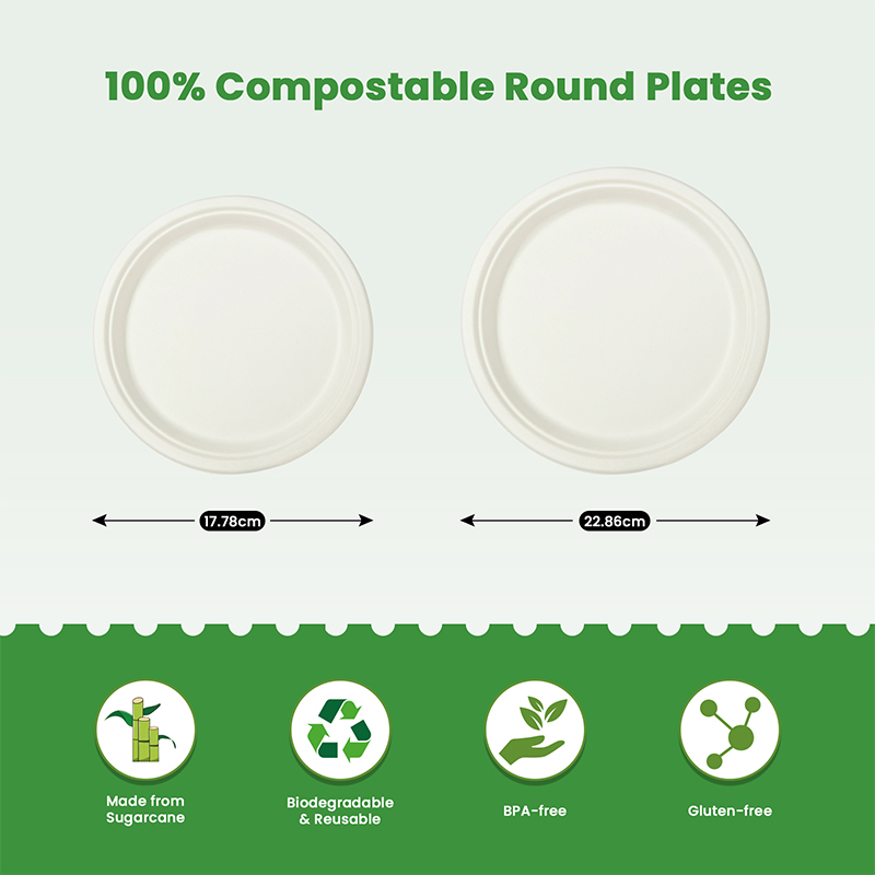 Free Sample 9 Inch Eco-Friendly Sugarcane Bagasse Biodegradable Disposable Waterproof Microwave Safe LFGB Certified Contemporary