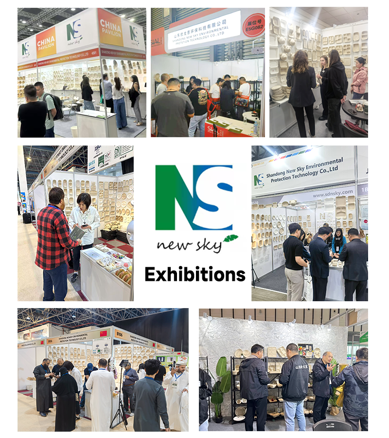Exhibition Gallery