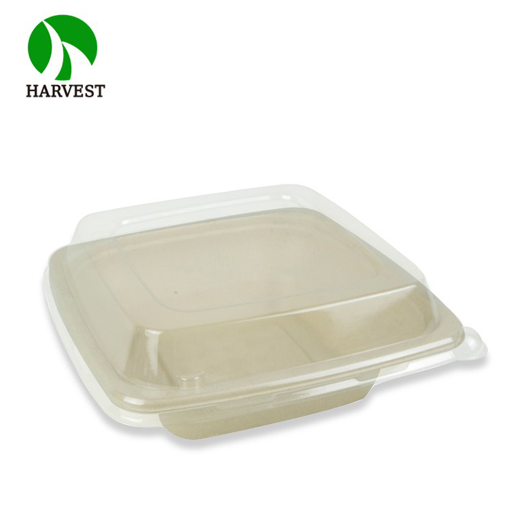 Plant-Based Gluten Free Square 24 oz Disposable Single Use Take Away Eco-Friendly Pulp Biodegradable Compostable Salad Bowl