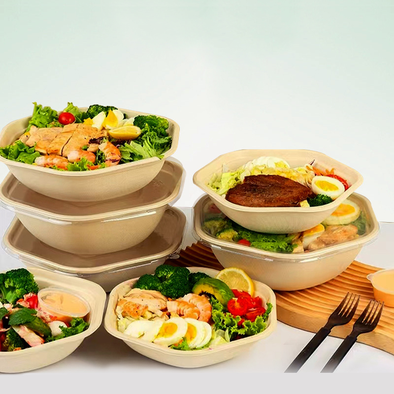 Disposable Environmentally Friendly Sugarcane Paper Biodegradable Lunch Box Salad Bowl with Embossing 90-Day Degradation