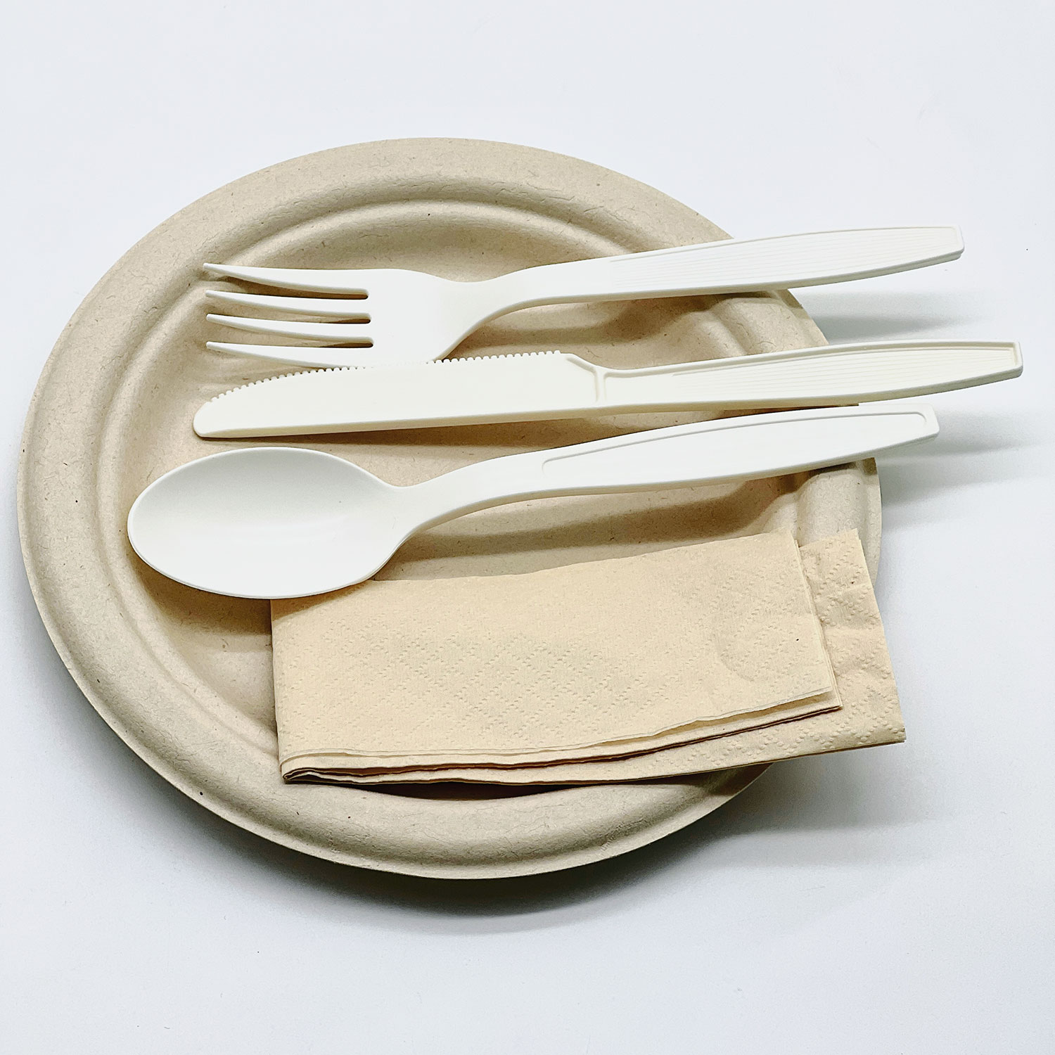 Cornstarch Cutlery Detail 5