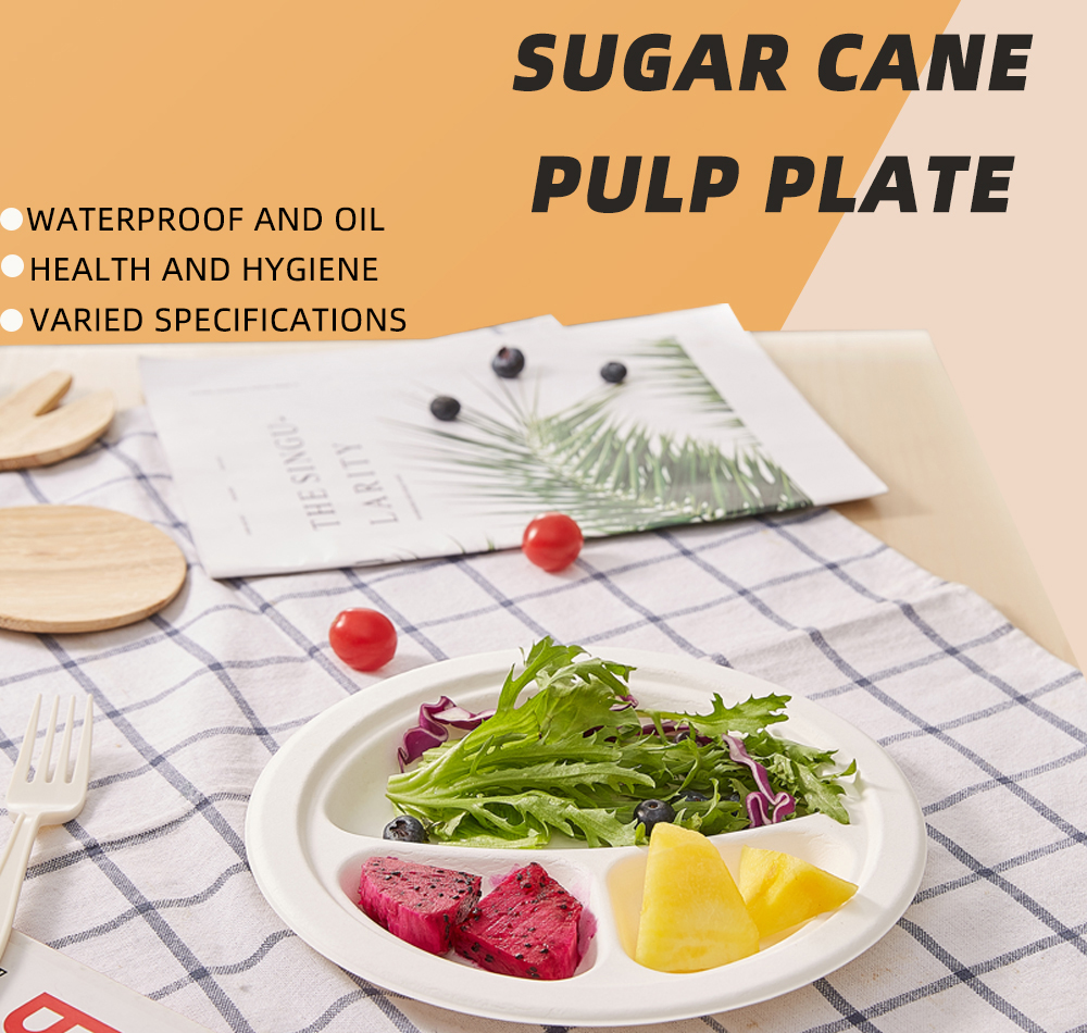 Eco-friendly Biodegradable Bagasse Compostable Disposable Sugarcane Dinnerware Sets for Restaurants & Parties