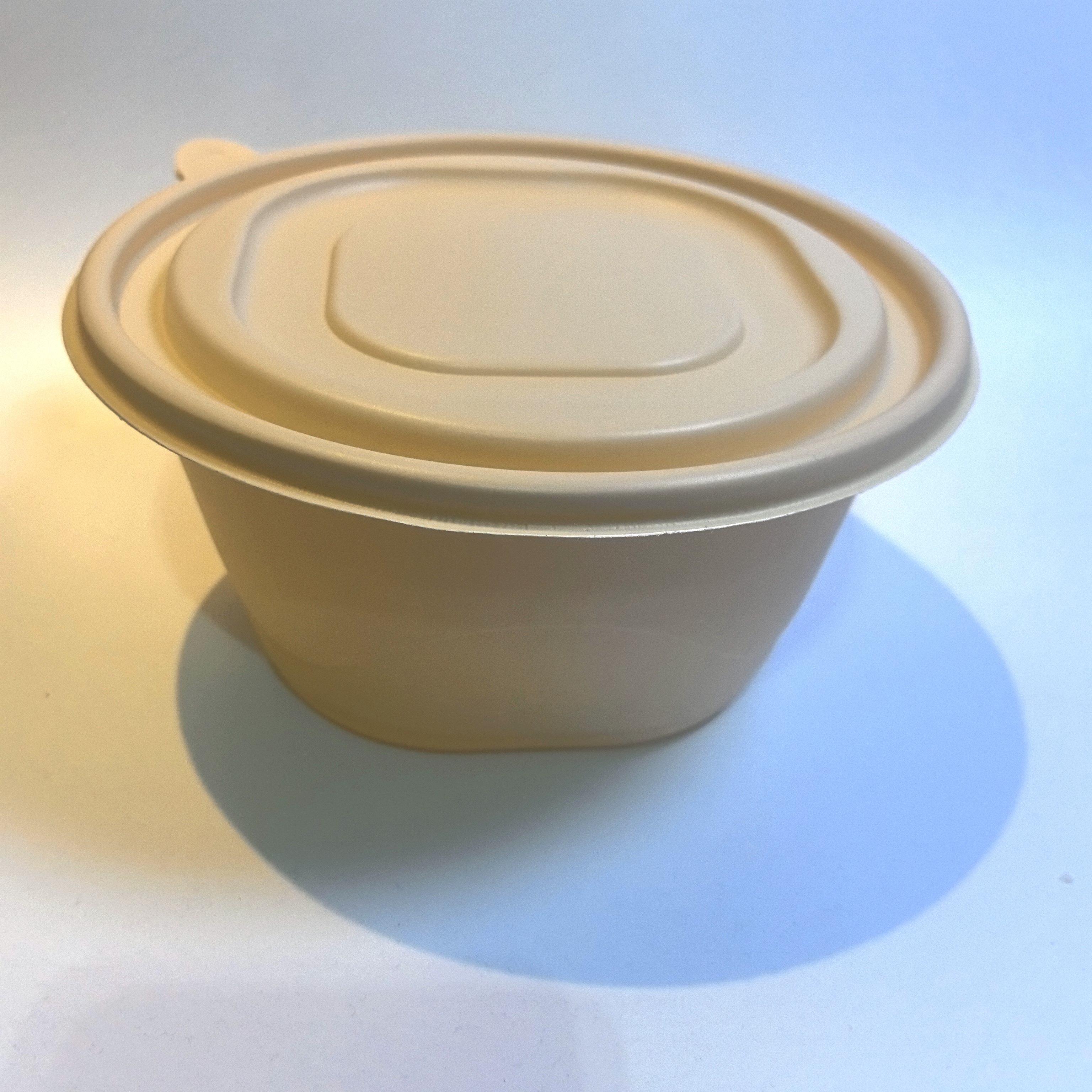 Disposable Food Container Detail 4