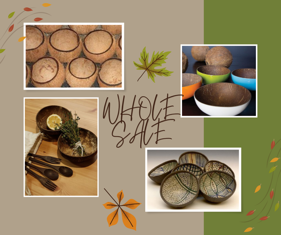 Eco-friendly Coconut Bowl View 4