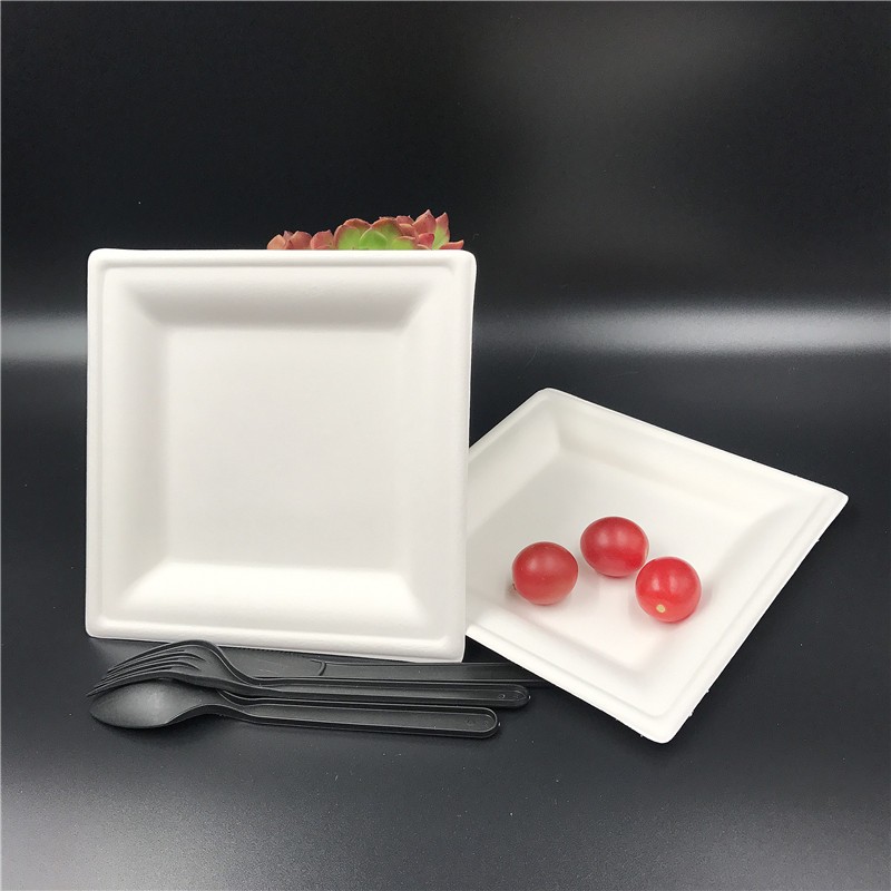 Related Product 5