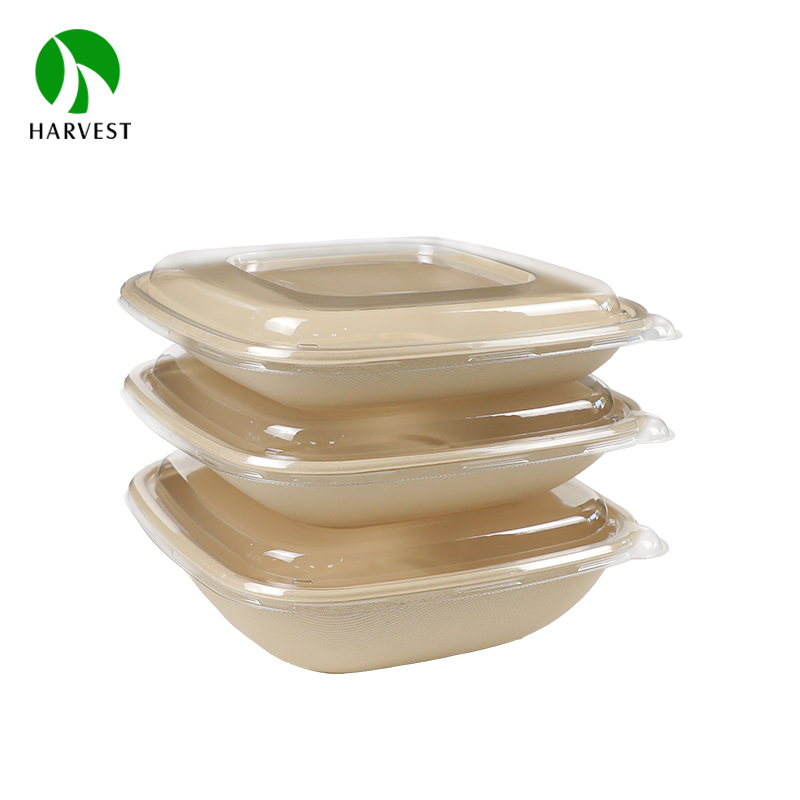 Biodegradable Disposable Food Packaging No Added Pfas Container Bagasse Sugarcane Food Container with No Added PFAS