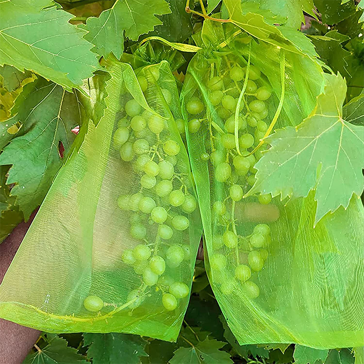 Reusable Net Grocery Guava Fruit Protection Bag/ Dry Fruits Packaging Bags/ Jute Fruit Bag for Anti Insect Bird Fly