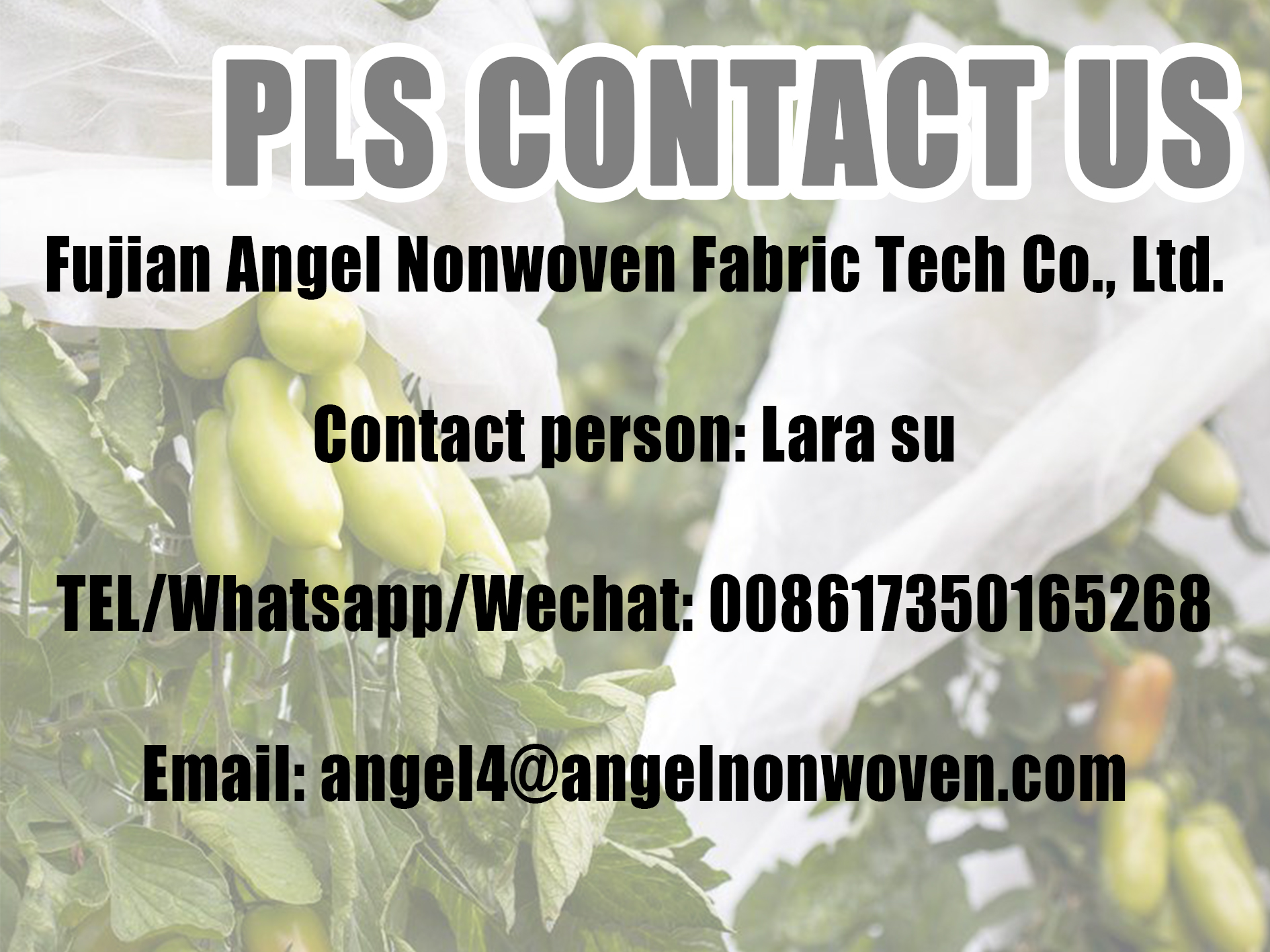 Product Application Display 2