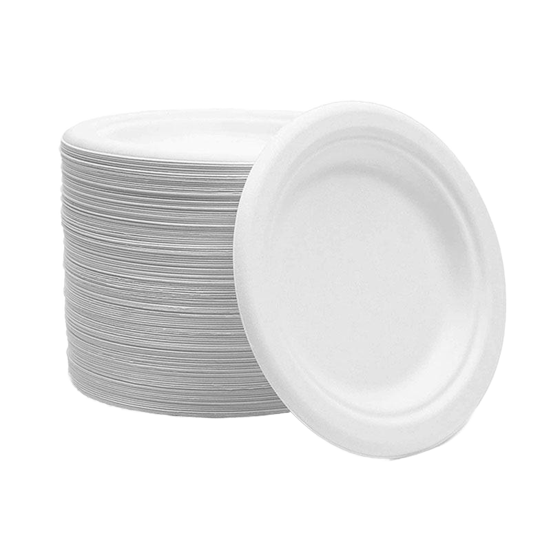 Free Sample 9 Inch Eco-Friendly Sugarcane Bagasse Biodegradable Disposable Waterproof Microwave Safe LFGB Certified Contemporary